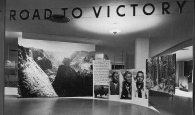 How 12 Exhibitions, Two Museums and One Gallery Changed Photography Forever