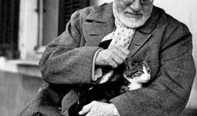 Henri Matisse (1869-1954) was a French painter, sculptor, and printmaker, known for his revolutionary contributions to the art world